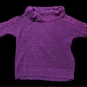 Purple/Violet Sweater Jh Collectibles Women 1X